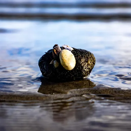 Apartment Glücks-burg Stern *