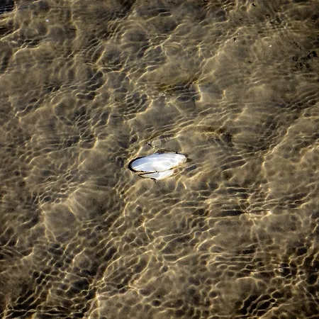Glücks-burg Stern Glücksburg